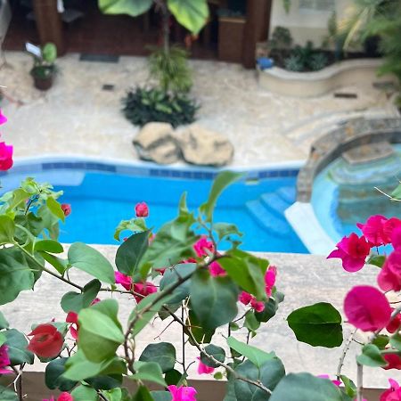 Hotel Quinta Maya Flores Εξωτερικό φωτογραφία